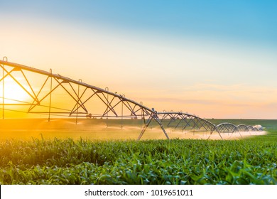 Center Pivot Irrigation System in Cornfield - Shutterstock ID 1019651011
