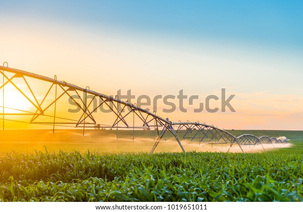 Center Pivot\
Irrigation System in\
Cornfield