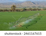 A center pivot irrigation system on lush green crops, South Africa
