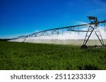 Center pivot irrigation system is watering large alfalfa field in central North Dakota.