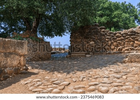 In the center: Throne platform at Tel Dan Israelite Gate. Stairs are podium judgement seat of king or ruler settling legal cases. The stone path leads into the ancient city.