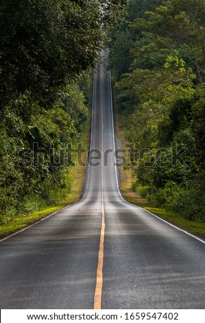 centered road leading symmetrical through a valley in the Thai jungle in the region of Khao Yai