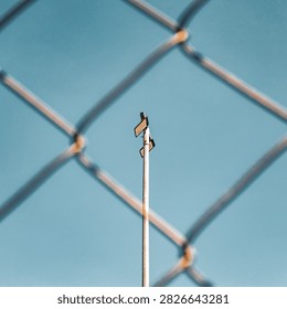 Centered view of LED floodlight pole framed by blurred chain link fence against clear blue sky for security concept.
