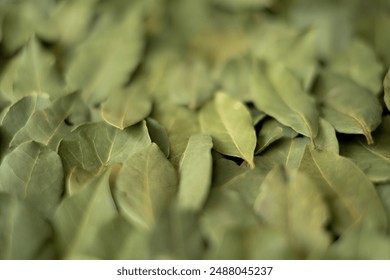 Center-Focused Vertical Image of Dried Bay Leaves, Ideal for Food Photography and Spices - Powered by Shutterstock