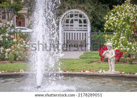 A centerpiece fountain in a rose garden in Boston