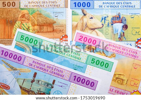 Central African CFA franc a business background