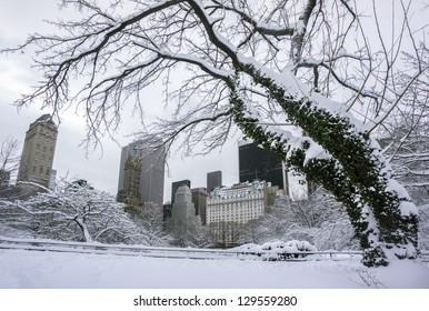 Central After Snow Storm With View Of Plaza Hotel