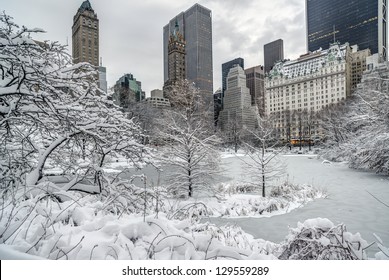 Central After Snow Storm With View Of Plaza Hotel