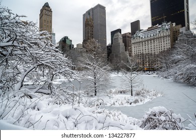 Central After Snow Storm With View Of Plaza Hotel