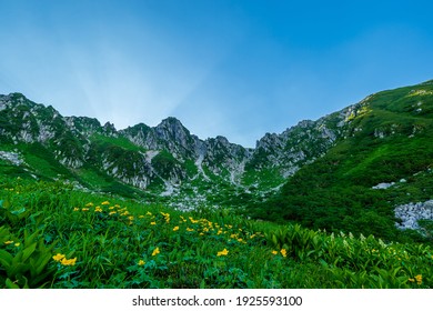 山 夏 森 日本 の写真素材 画像 写真 Shutterstock