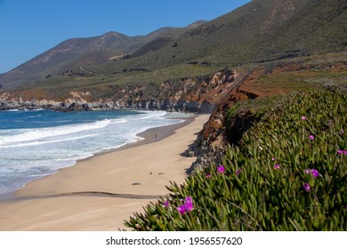 A Central California Coast On A Spring Day 