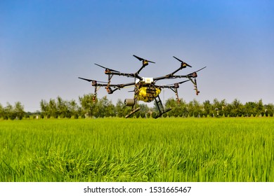 In central China, modern agricultural science and technology is developing rapidly, and farmers are using drone plant protection operations. - Shutterstock ID 1531665467