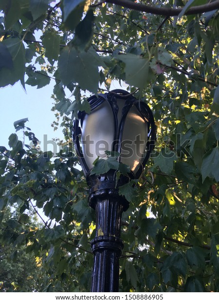 Central Decorative Lamp Posts Close Stock Photo Edit Now 1508886905