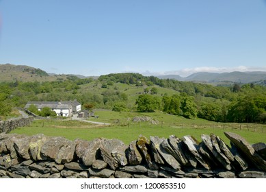 Central Fells Seen Across Fields From Tilberthwaite, Lake District