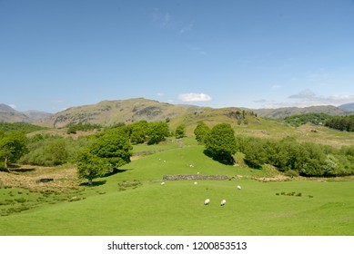 Central Fells Seen Across Fields From Tilberthwaite, Lake District