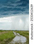 Central Florida Thunderstorm Clouds at Kissimmee Prairie State Preserve