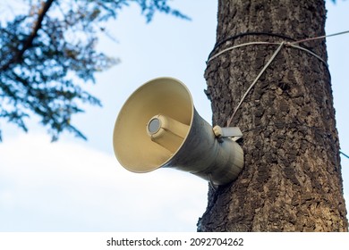 Central Megaphone System. Speaker Hanging On Tree. White Broadcasting Equipment. Public Advertising And Announcement Gadget With Electric.