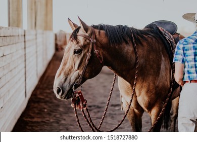 Central Oregon/ USA- September of 2018. Horse and Rider attend a cowboy dressage clinic on horsemanship. 