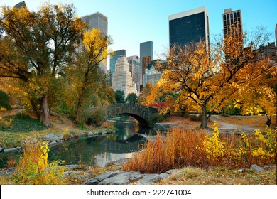 Central Park Autumn and buildings in midtown Manhattan New York City - Shutterstock ID 222741004