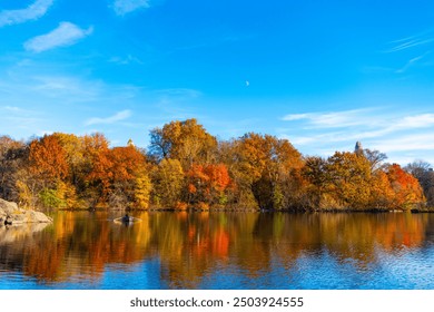 Central Park in autumn with colorful fall trees. Autumn nature. New York City Central Park with boat in lake. Autumn landscape nature. People rowing a boat in Central Park pond. Scenic boating - Powered by Shutterstock