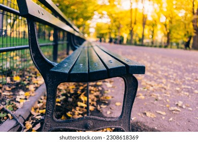 Central Park Bench during Fall with yellow leaves