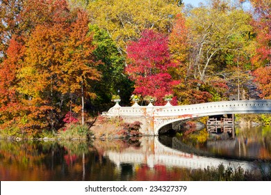 Central Park Bow Bridge In Fall - New York City