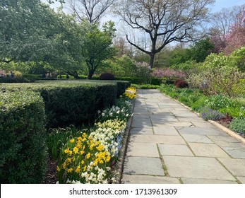 Central Park Conservatory Garden Spring Blooming