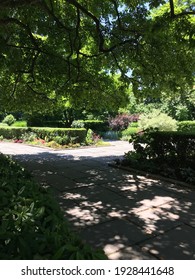 Central Park Conservatory Garden Summertime