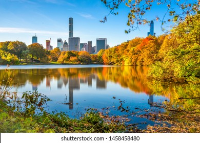 Central Park during autumn in New York City.