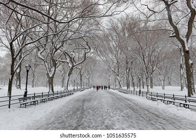 Central Park During Middle Of Snowstorm With Snow Falling In New York City During Noreaster