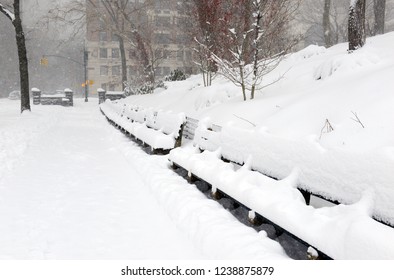 Central Park During Middle Of Snowstorm With Snow Falling In New York City During Noreaster