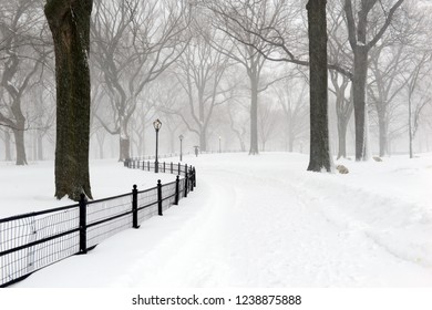 Central Park During Middle Of Snowstorm With Snow Falling In New York City During Noreaster