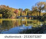 Central Park in Fall, New York - October 2024