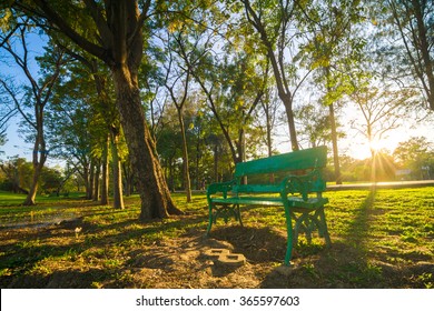 Central Park With Green Park Bench Light Shadow In Evening, Summer