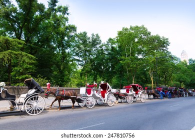 Central Park Horse Carriage Rides In Manhattan New York US