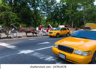 Central Park Horse Carriage Rides In Manhattan New York US