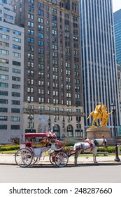 Central Park Horse Carriage Rides In Manhattan New York US