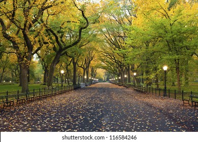 Central Park. Image of  The Mall area in Central Park, New York City, USA at autumn.