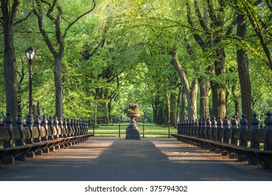 Central Park. Image of The Mall area in Central Park, New York City, USA - Shutterstock ID 375794302