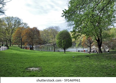 Central Park Landscape, Photographed In New York, United States.