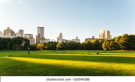 Central Park life in New York at sunset