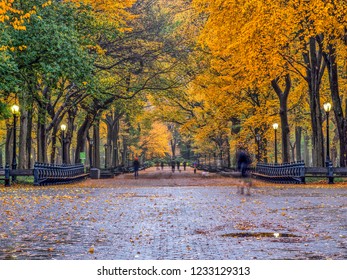 34,891 Central park fall Images, Stock Photos & Vectors | Shutterstock