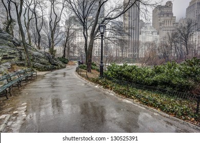 Central Park, New York City After Rain Storm On Sidewalk