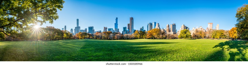 Центральный парк Нью-Йорка в качестве фона панорамы