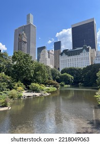 Central Park New York City - Plaza View