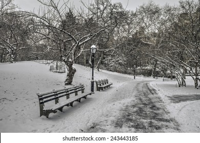 Central Park, New York City In Winter After Snow Storm In January 2015