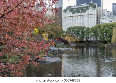 Central Park, New York City In Autumn Near The Plaza Hotel