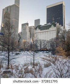 Central Park, New York City After Snow Storm Near The Plaza Hotel