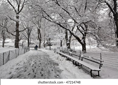 Central Park New York City Snow Stock Photo 47214748 | Shutterstock