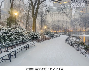 456 Plaza hotel new york winter Images, Stock Photos & Vectors ...